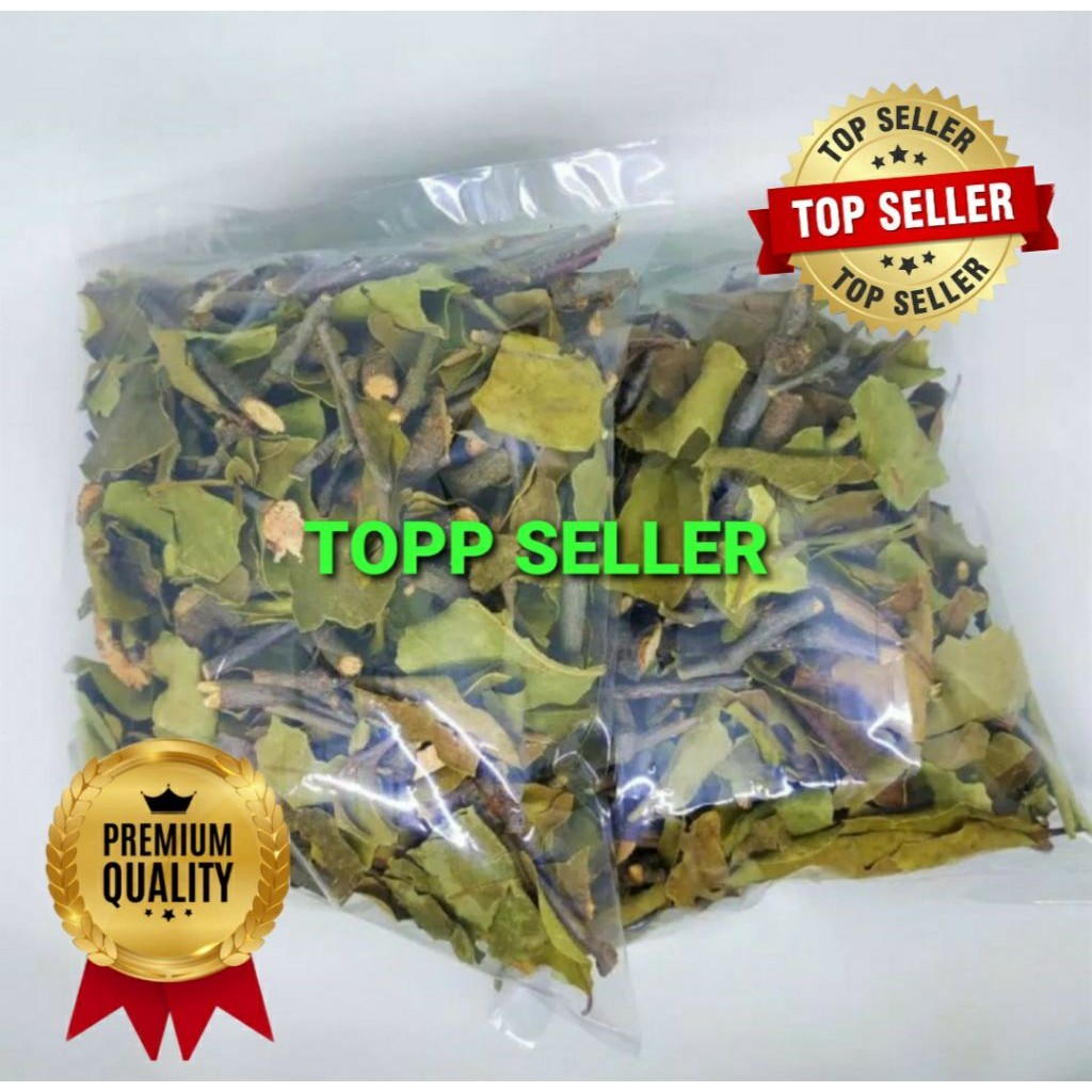 

Benalu Kayu Manis 1000 Gram ranting dan daun Kwalitas Terbaik