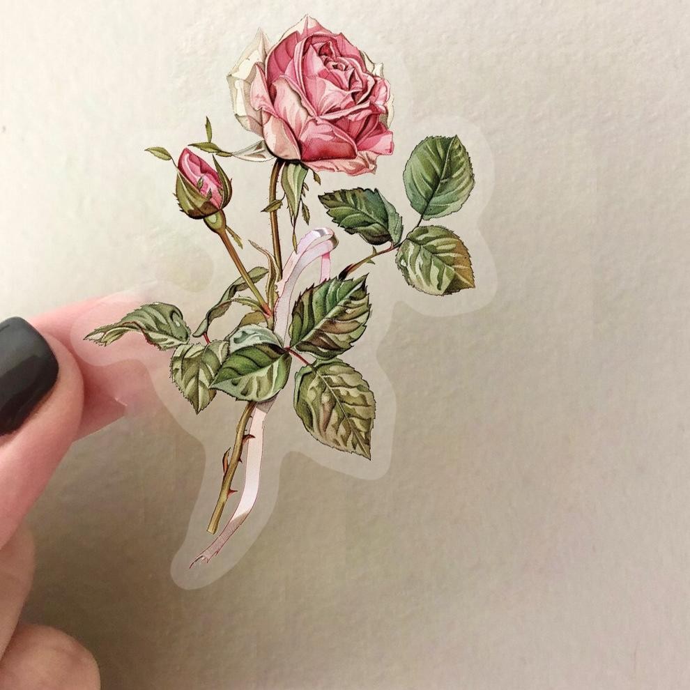 

Stiker Set Stiker Paket 50PCS New transparan Stiker Retro Bunga Surat Stiker PET Anti Air Stikers Berperekat Waterproof sticker decal buat Motor Helm Buku Journal Koper Casing HP Laptop Botol Minum UR-54