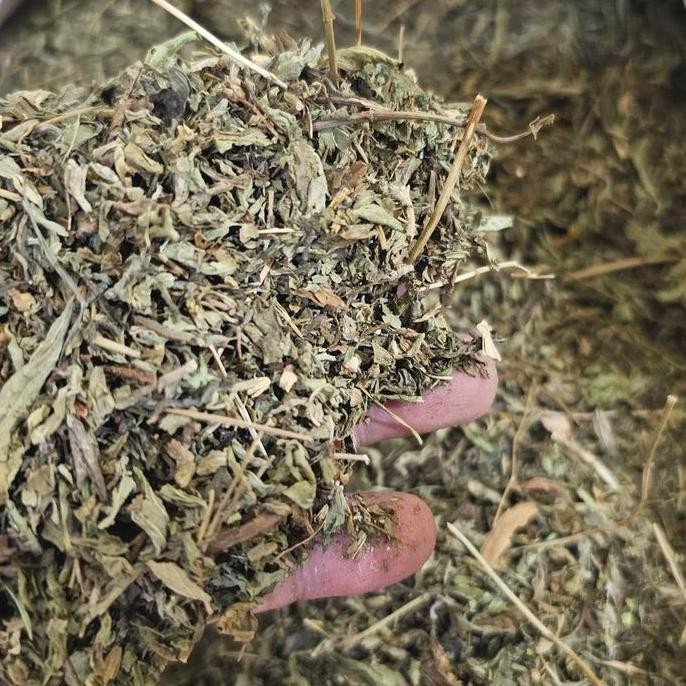 

Daun Stevia Kering 100gr / 500gr - Stevia Leaves - Pemanis Alami