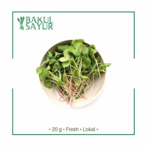 

(Best Saller) Radish Microgreens 20 Gram Bestseller