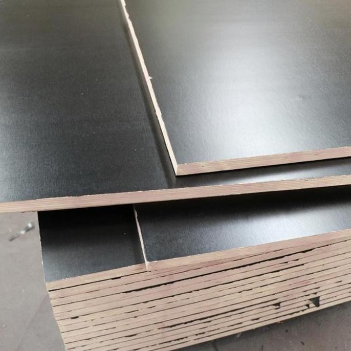 Triplek Phenolic 12Mm