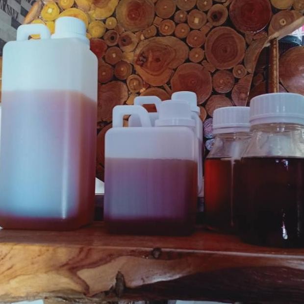 

(Terbaru) Madu Mentah Murni Asli 1kg Variant Nektar 100% Madu Mentah Madu Murah Original tanpa Campuran (Terlaris)