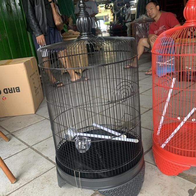 BEBAS ONGKIR - SANGKAR LOVEBIRD JUMBO DIAMETER 40cm