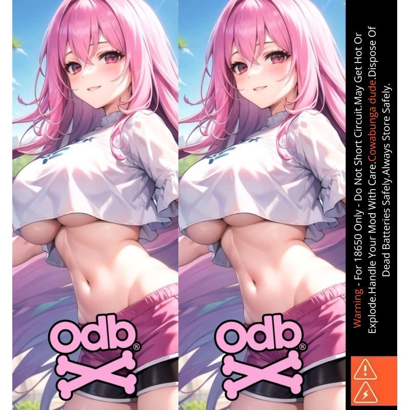 

[COD] Garskin Stiker Famstore Pelindung Baterai Stiker Wrap 18650 Waifu V6 Dan Anti Gores 4 Label Custom Presisi Terlaris