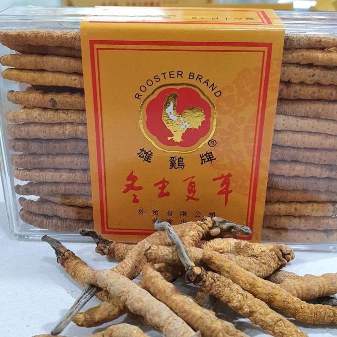 

Premium Wild Cordyceps ( 3.75G)