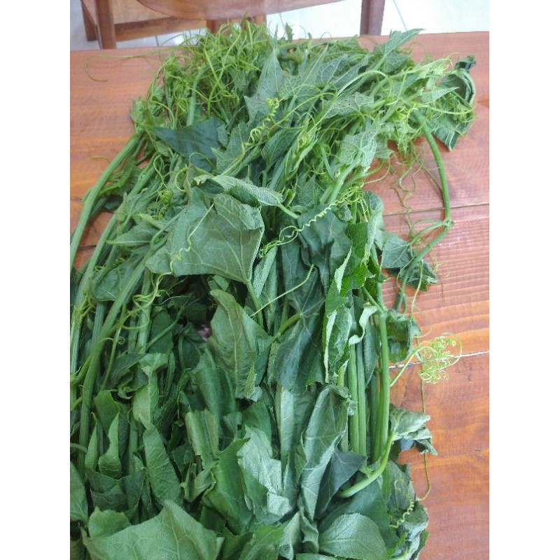 

Sayur pucuk labu Siam Manisah Jipang Gondes segar