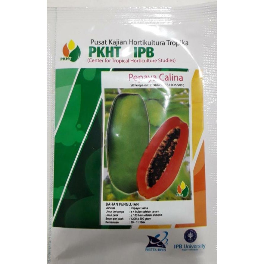 Benih Pepaya Calina - Pkht Ipb