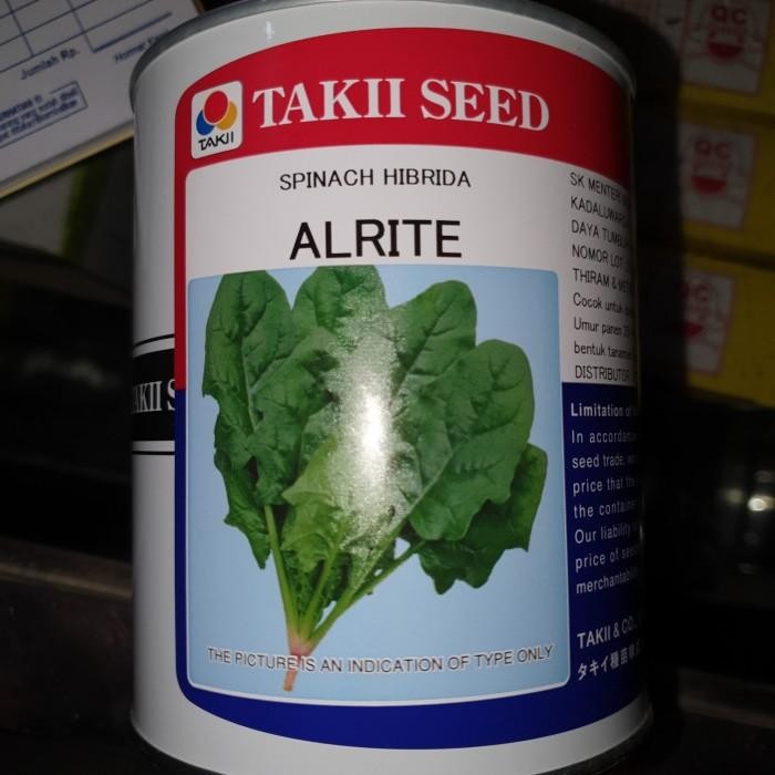 

Spinach Alrite Bayam Jepang Horinso Alrite Poling 250gr Kualitas Terbaik