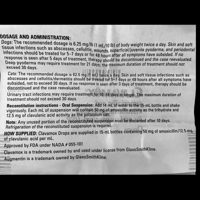 Clavamox Kucing, Clavamox Anjing (Antibiotik Kucing Anjing)