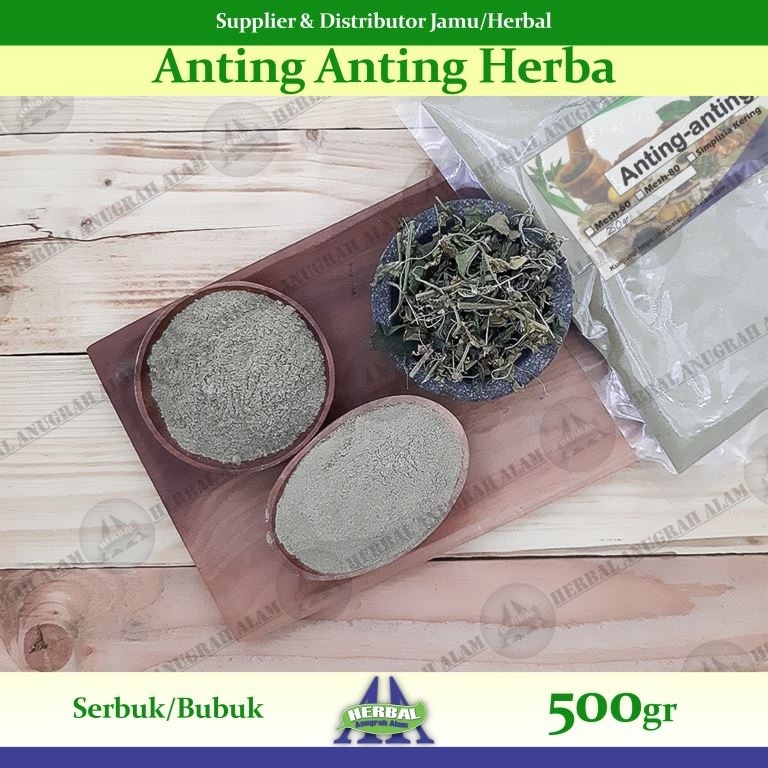 Herba Anting Anting (Bubuk) 500Gr | Acalypha Indica | Lateng Putih - 100% Murni #Herbal