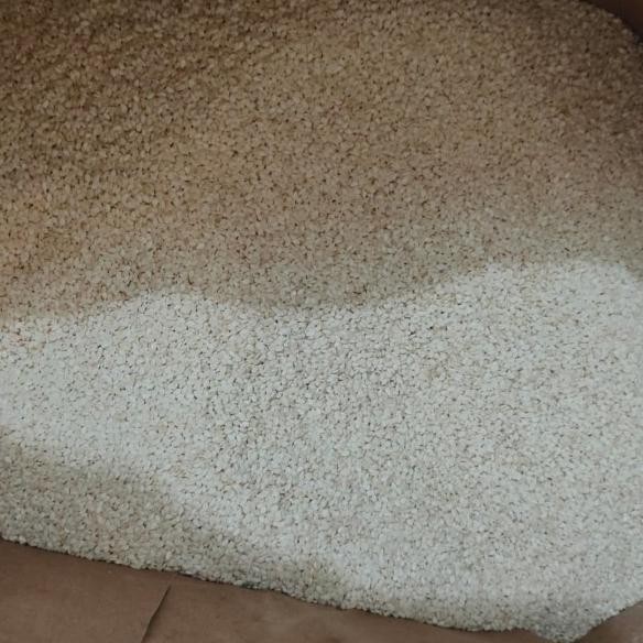 

Wijen Putih / White Sesame Seeds 1 Karung / 25Kg