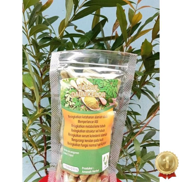 

Terpopuler Daun Kelor Isi 100 Daun Herbal