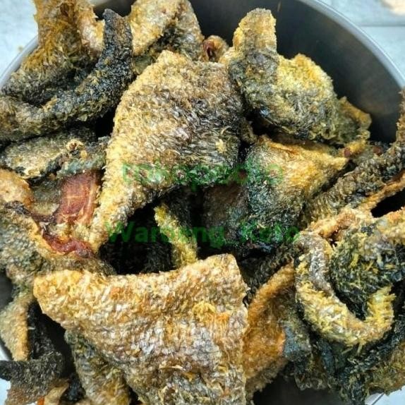 

Kerupuk Kulit Ikan Mentah - Rambak Ikan Salmon Dan Ikan Patin Mentah
