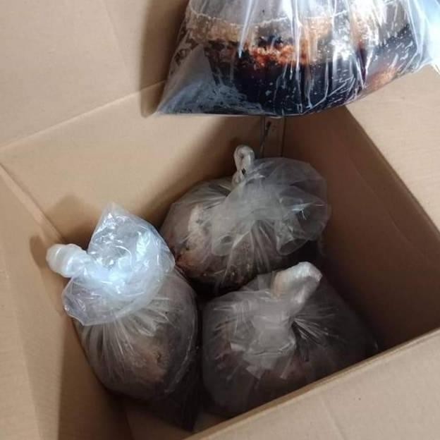 

Sale Sarang Madu Hutan Riau Asli 1000 Gram Grosir