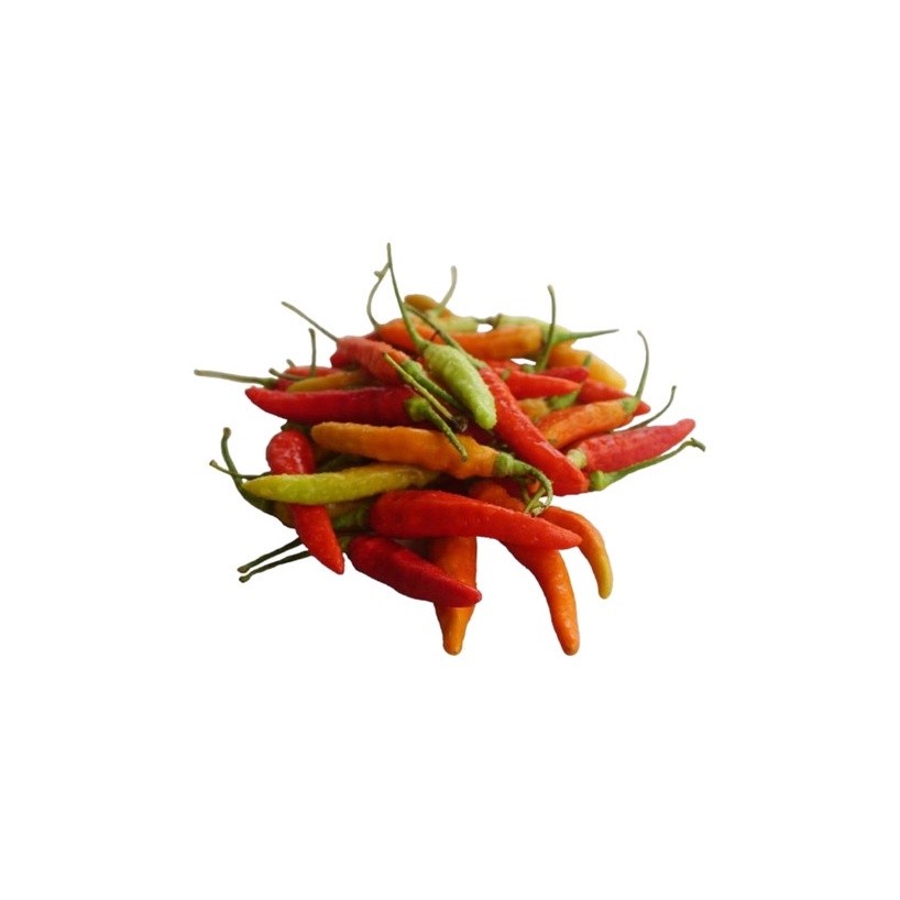 

Cabe rawit merah organik 100gram