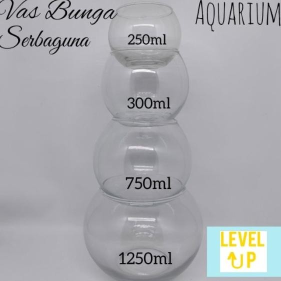 Vas Bunga Kaca Bulat/Pot Tanaman Air Hidroponik Hias/Tempat Ikan Cupan