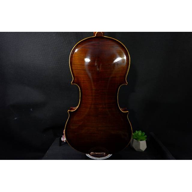 PALING DICARI  BIOLA SHIFEN 401 UPGRADE & STANDART AKUSTIK