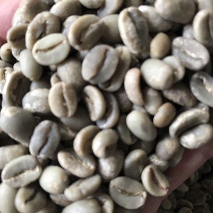 

Green Bean Arabika Flores Bajawa Full Wash G1