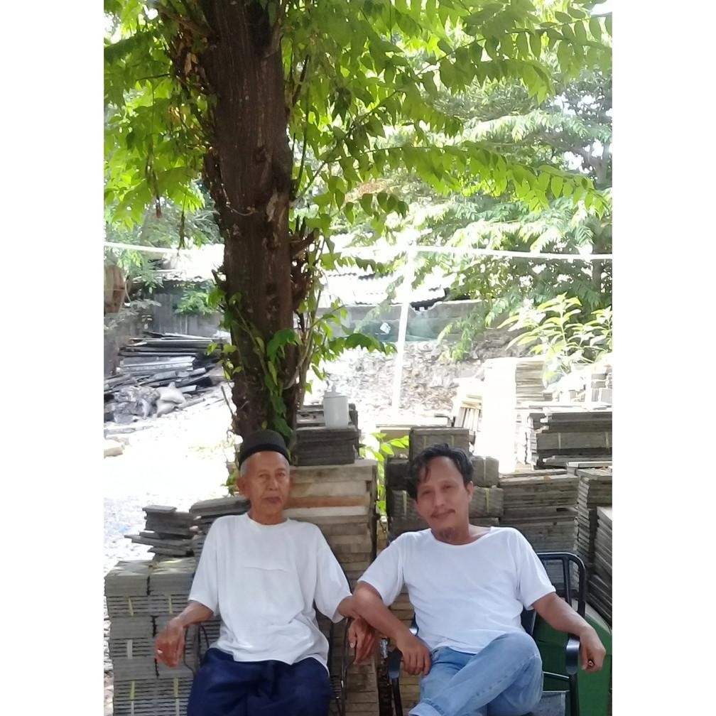 

Jaminan Mutu Special Price Daun Segar Cherry Kersen Talok 100 Gram Herbal Kesehatan Tubuh Daun Herbal Alami Kualitas Tertinggi