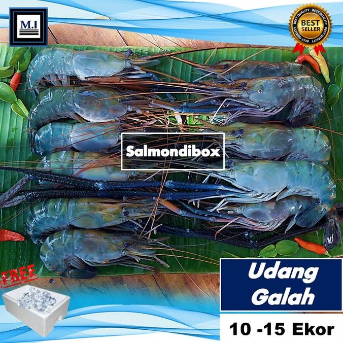 

Fresh Udang Galah Size 10-15 Ekor @60 -100 Gram