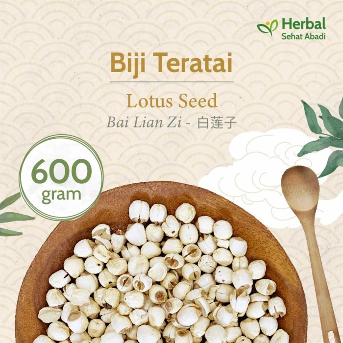 

Biji Teratai 600 gram / Lotus Seed / bai lian zi () / lien ce