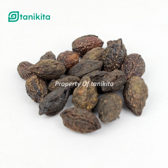 

Terlaris Biji Jokeling Kering 1kg - Biji Mojokeling/Majakeling/Jo Keling SALE