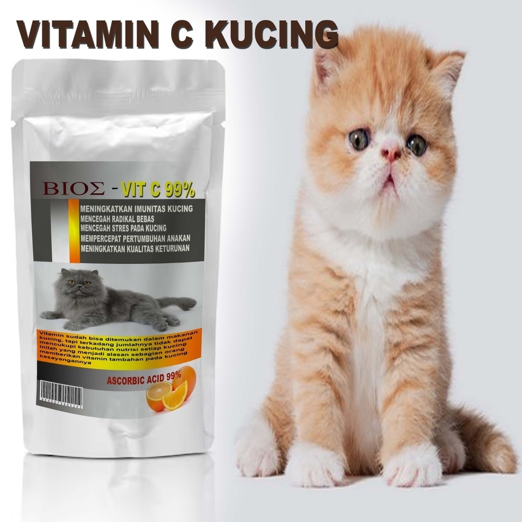 Vitamin kucing meningkatkan imunitas dari penyakit kucing vit c kucing 17B3335