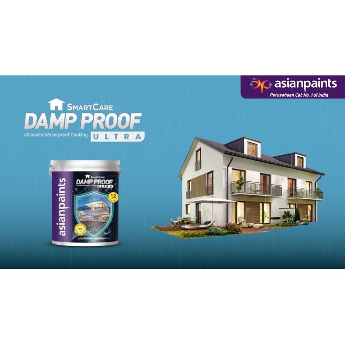 Asian Paints SmartCare Damp Proof Ultra 20 Kg Waterproofing Membrane