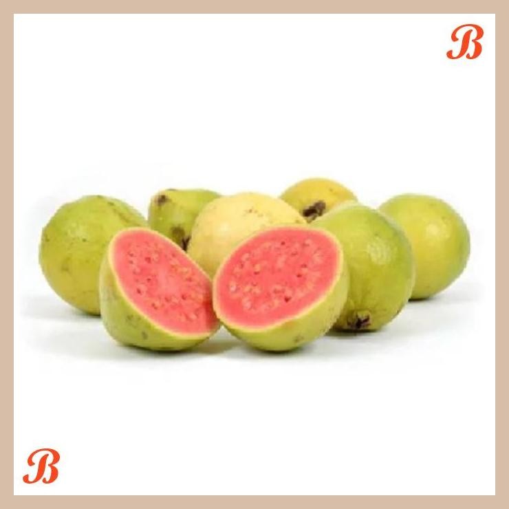 

| NN | JAMBU BIJI MERAH 1KG