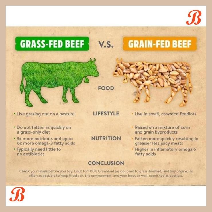 

| NN | GRASS FED BEEF STRIPLOIN SLICE (250 GR) DAGING SLICE PREMIUM GRASSFED