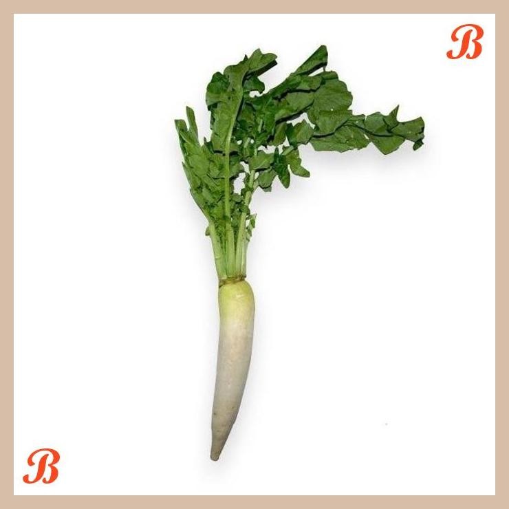 

| NN | LOBAK ORGANIK 500GR