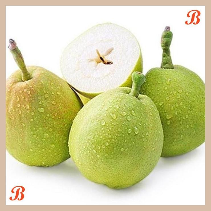 

| NN | PEAR XIANG LIE / PIR 1KG