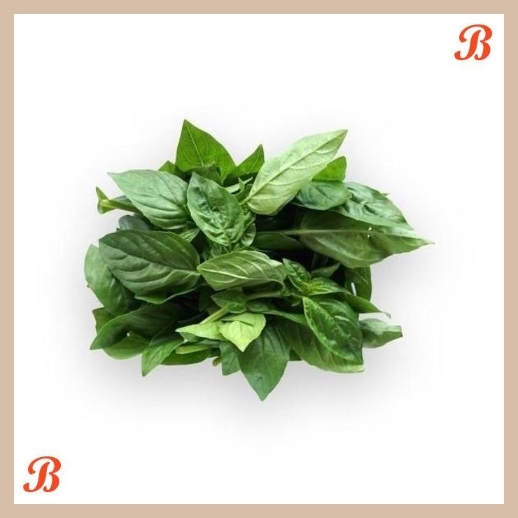 

| NN | DAUN BASIL ORGANIK 100GR