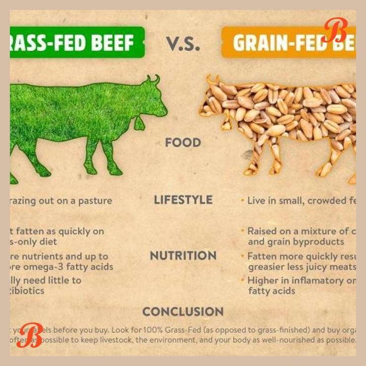 

| NN | GRASS FED RIB EYE STEAK (DAGING GRASSFED HALAL) FROZEN 200 GR