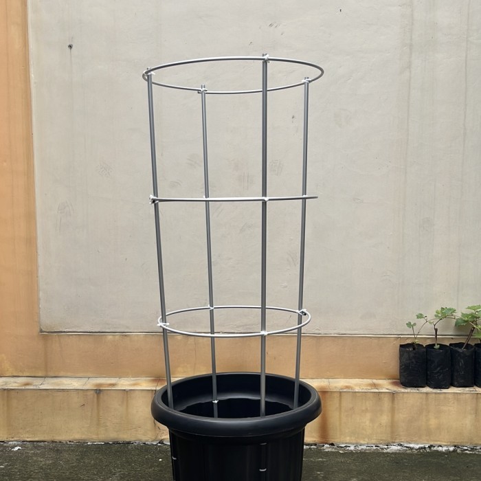 TIANG RAMBATAN TABULAMPOPOT ANGGUR