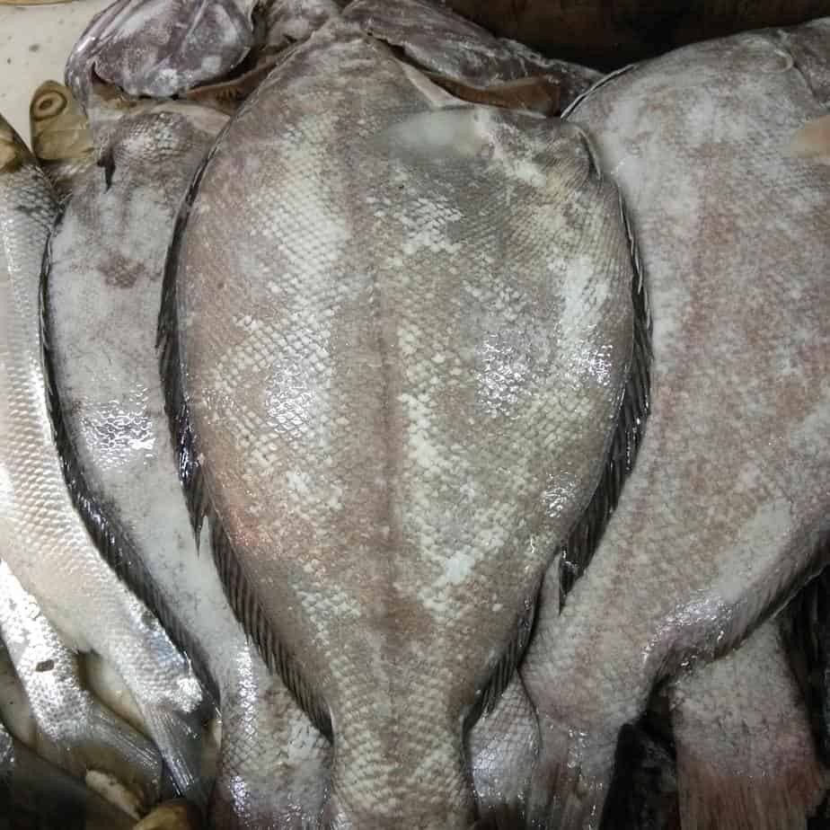 

Ikan sebelah segar ukuran 500 gram