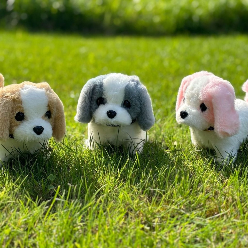 

Mainan Anjing Mewah Anak-anak Menemani Hadiah Pertumbuhan