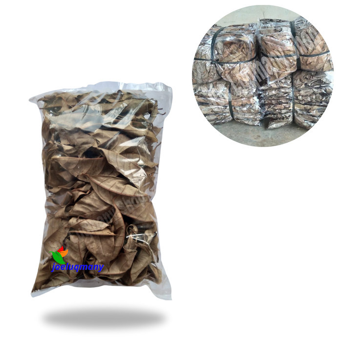

Daun Pala Kering joeluqmany 100 Gram COD