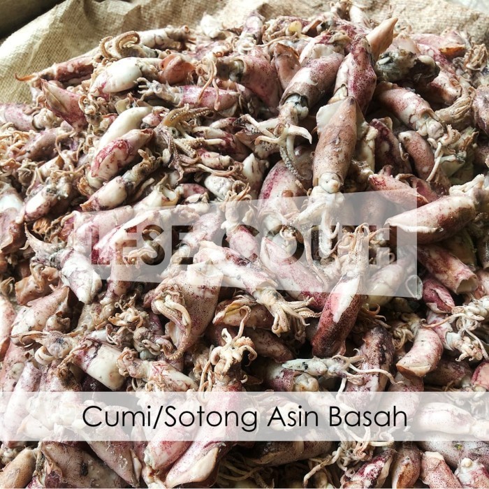 

Terbaru Cumi / Sotong Asin Basah 1 Kg