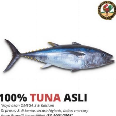 

Ikan Tuna Kaleng Chunk In Oil Ayam Brand 150Gr