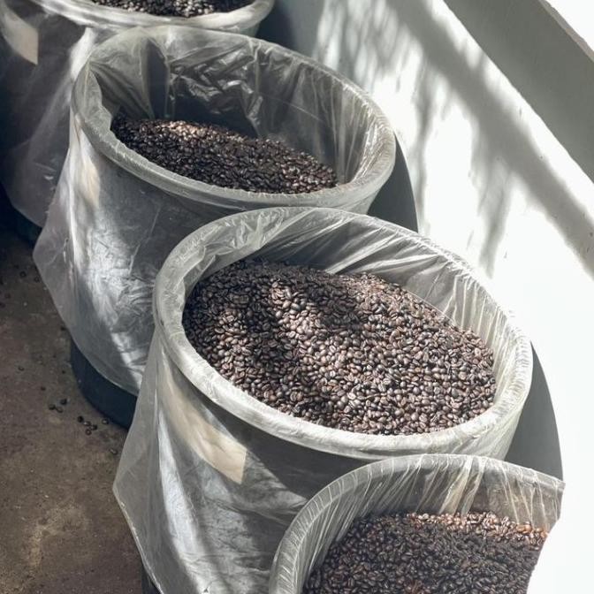 

Order Sekarang Kopi Giras 1Kg Rasa Nikmat Premium Best 2024