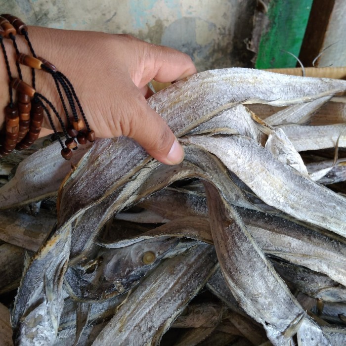 

Ikan Asin Layur Besar