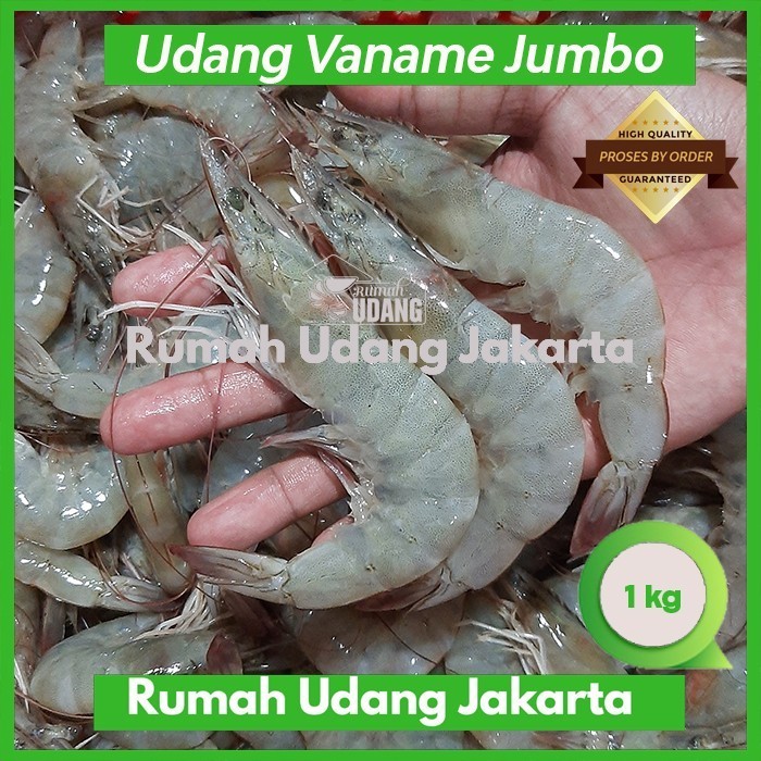 

Udang Vaname Segar Jumbo 30-35 Ekor/Kg /Udang Vannamei Fresh