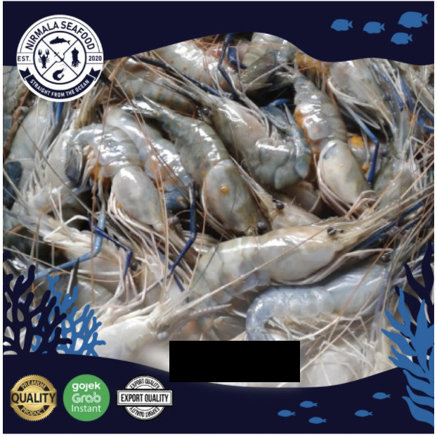 

Udang Galah Fresh/Frozen Uk 30-40