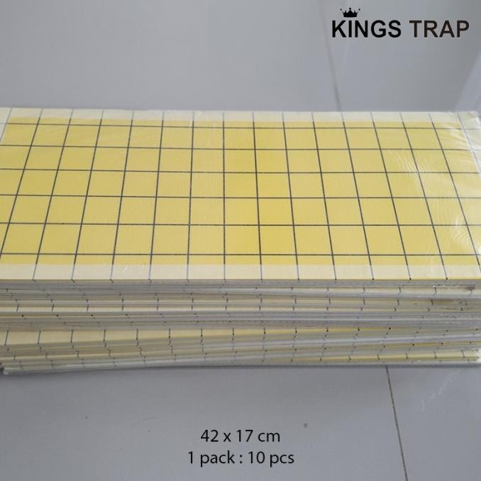

TERMURAH - 10 lembar Glue pad / Kertas Lem Fly Catcher 42 x 17 cm