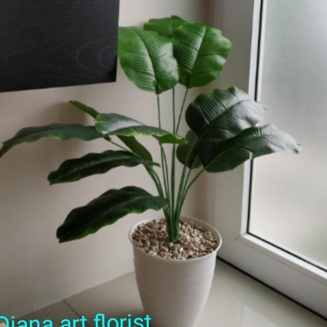Pohon Hias#Pohon Pisang Hias#Pisang /Tanaman Artificial