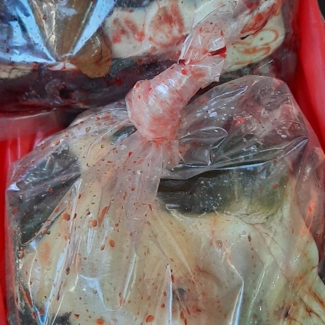 daging labi labi bulus segar1kg