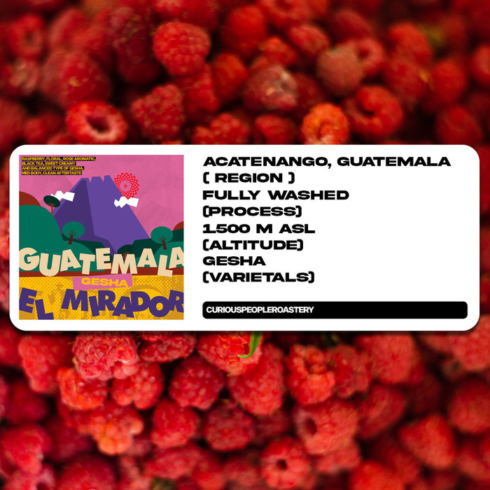 

Biji Kopi Manual Brew Arabika - Guatemala Gesha El Mirador - 200 Gr
