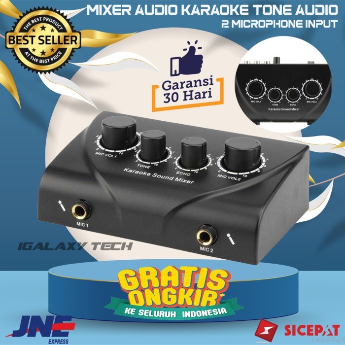 Terlaris Mixer Audio Karaoke Mini Echo Tone Audio 2 Microphone Input