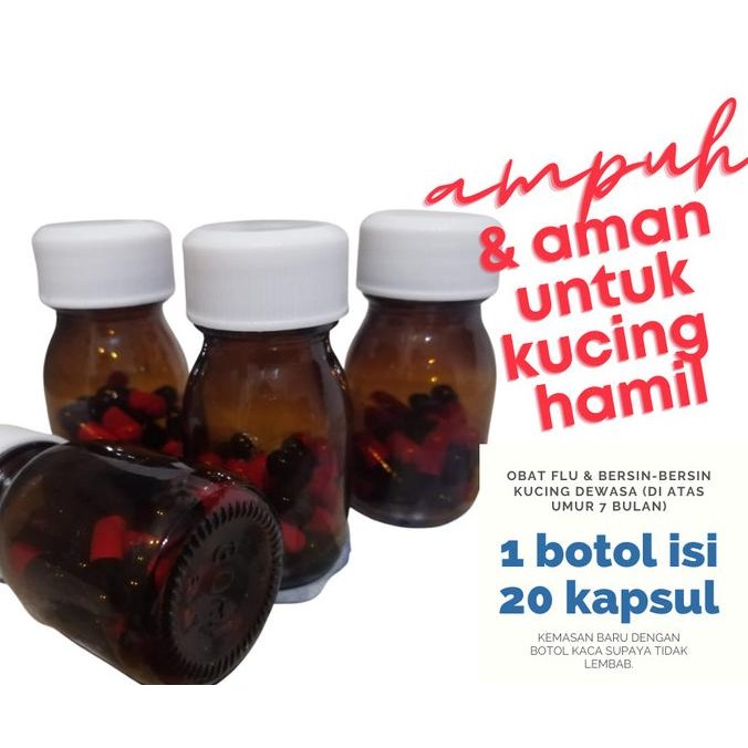 OBAT FLU KUCING (DEWASA) AMPUH & AMAN JUGA BUAT KUCING HAMIL